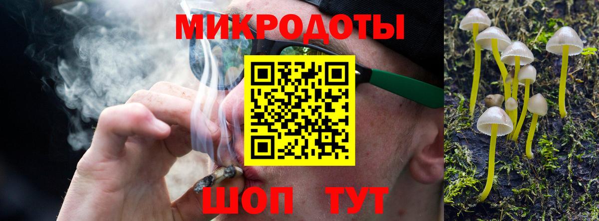 Нальчик  Псилоцибиновые грибы Psilocybe  Вход с VPN 